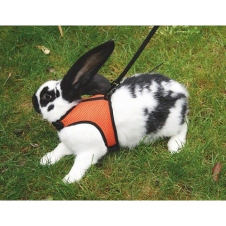 Rabbit  Harness SPORT-Large