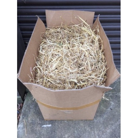 Barley golden Straw box