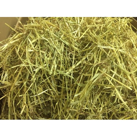 Italian Ryegrass-Fine & Gold-3 sizes