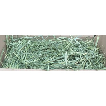 Canadian Timothy Hay  Box...