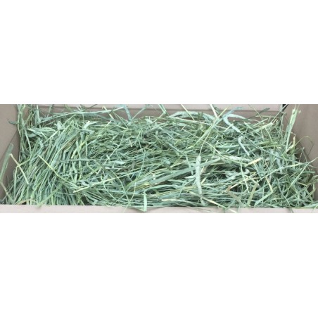 Canadian Timothy Hay  Box -New lower price