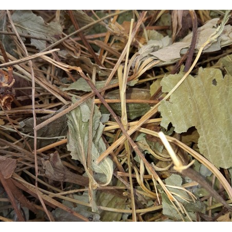 Dried Strawberry leaf & Stem